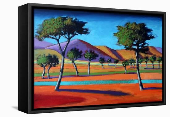 Son Vida Iv-Paul Powis-Framed Premier Image Canvas