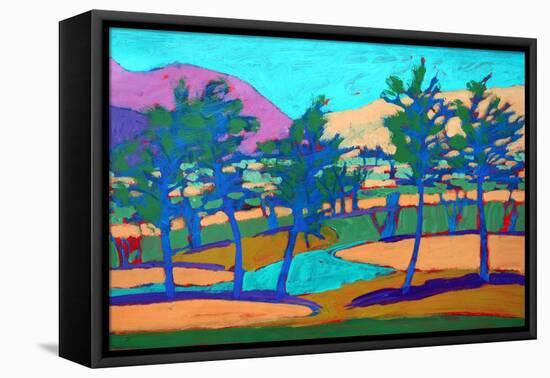 Son Vida-Paul Powis-Framed Premier Image Canvas