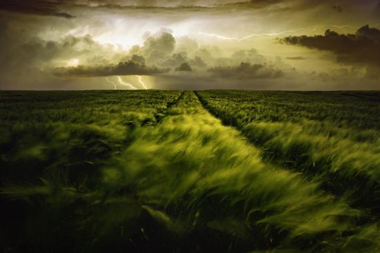 Photographic Print, , large