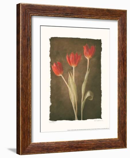 Sonata I-Amy Melious-Framed Art Print