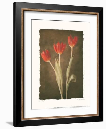 Sonata I-Amy Melious-Framed Art Print