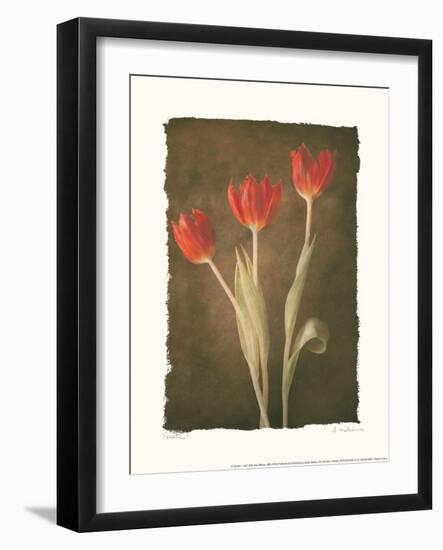 Sonata I-Amy Melious-Framed Art Print