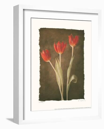 Sonata I-Amy Melious-Framed Art Print