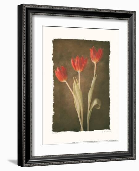 Sonata I-Amy Melious-Framed Art Print