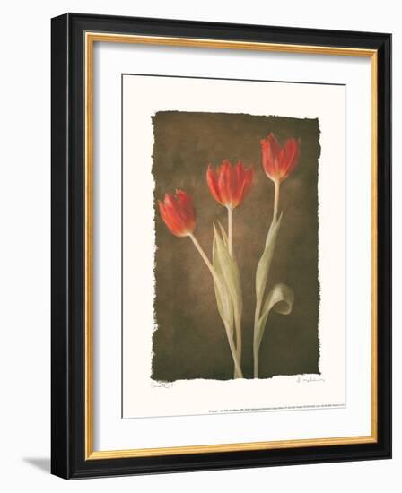 Sonata I-Amy Melious-Framed Art Print