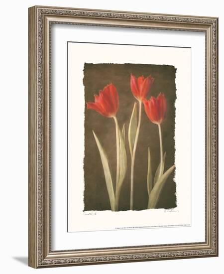 Sonata II-Amy Melious-Framed Art Print