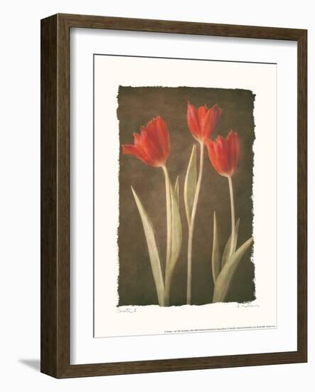 Sonata II-Amy Melious-Framed Art Print