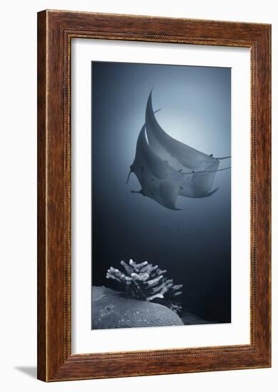 Sonata-Andrey Narchuk-Framed Giclee Print