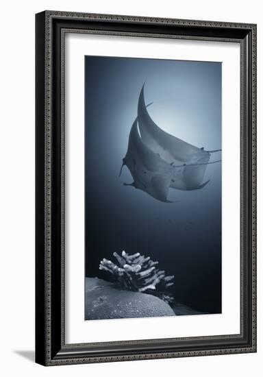 Sonata-Andrey Narchuk-Framed Giclee Print