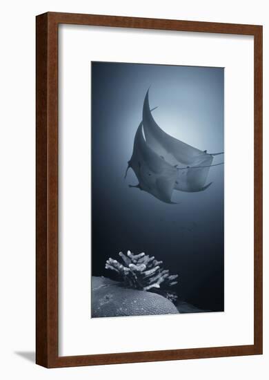 Sonata-Andrey Narchuk-Framed Giclee Print