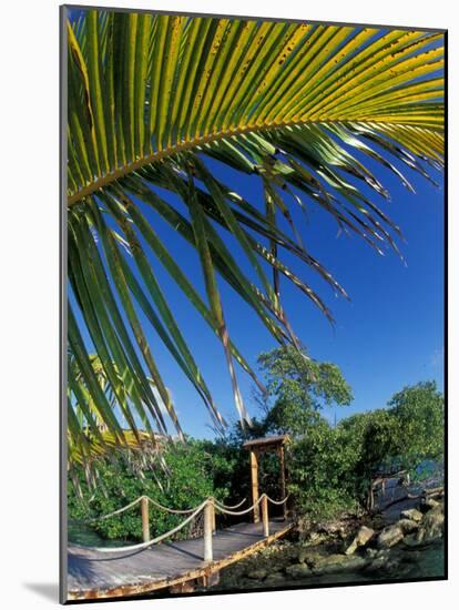 Sonesta Island, Aruba, Caribbean-Robin Hill-Mounted Photographic Print