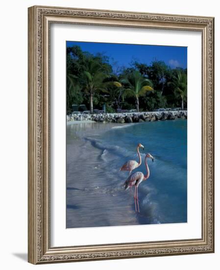 Sonesta Island, Aruba, Caribbean-Robin Hill-Framed Photographic Print