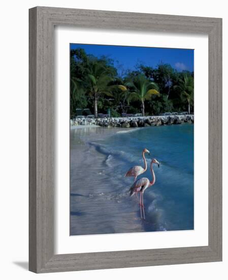 Sonesta Island, Aruba, Caribbean-Robin Hill-Framed Photographic Print