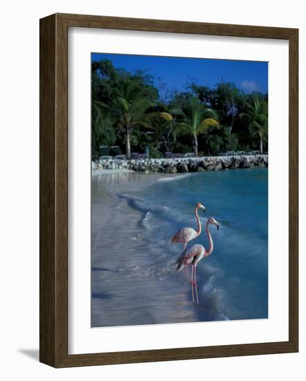 Sonesta Island, Aruba, Caribbean-Robin Hill-Framed Photographic Print