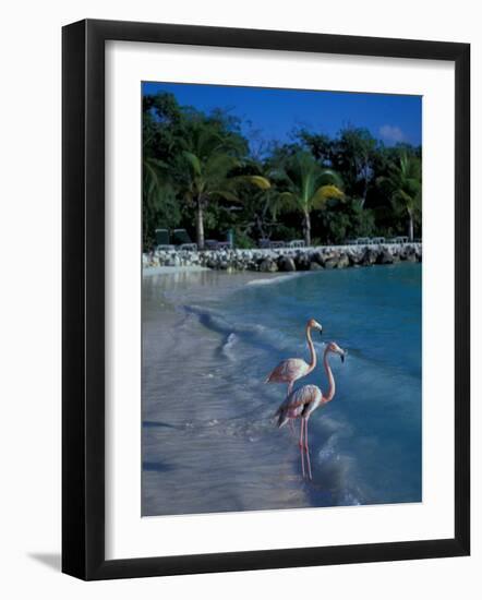 Sonesta Island, Aruba, Caribbean-Robin Hill-Framed Photographic Print