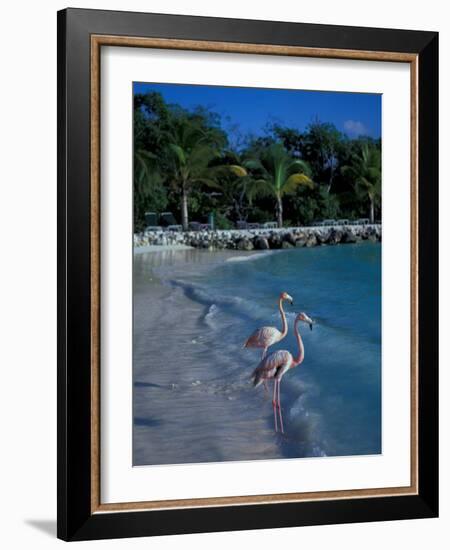 Sonesta Island, Aruba, Caribbean-Robin Hill-Framed Photographic Print