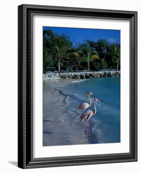 Sonesta Island, Aruba, Caribbean-Robin Hill-Framed Photographic Print