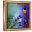 Song Bird VIII-Cindy Thornton-Framed Premier Image Canvas