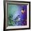 Song Bird VIII-Cindy Thornton-Framed Giclee Print