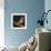 Song Bird-Whoartnow-Framed Giclee Print displayed on a wall