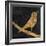 Song Bird-Whoartnow-Framed Giclee Print