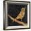 Song Bird-Whoartnow-Framed Giclee Print