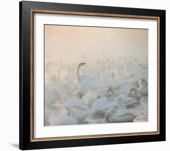 Song Of The Morning Light-Dmitry Dubikovskiy-Framed Giclee Print