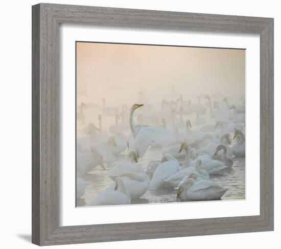 Song Of The Morning Light-Dmitry Dubikovskiy-Framed Giclee Print