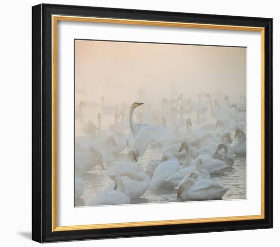 Song Of The Morning Light-Dmitry Dubikovskiy-Framed Giclee Print