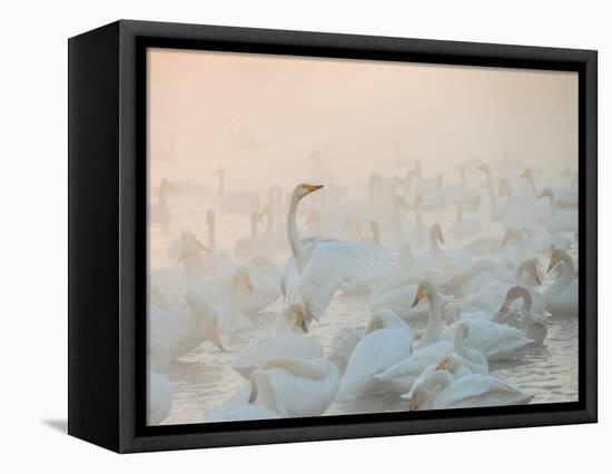 Song of the Morning Light-Dmitry Dubikovskiy-Framed Premier Image Canvas