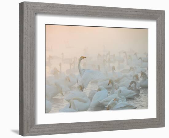 Song of the Morning Light-Dmitry Dubikovskiy-Framed Photographic Print