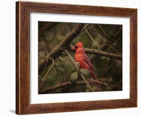 Song of the Red Bird 1-Jai Johnson-Framed Giclee Print