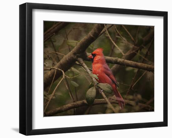 Song of the Red Bird 1-Jai Johnson-Framed Giclee Print