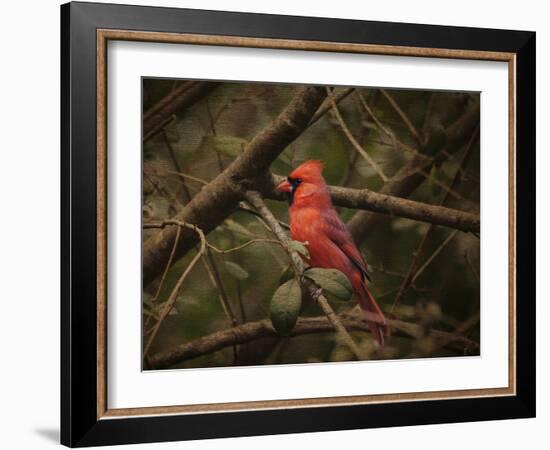 Song of the Red Bird 1-Jai Johnson-Framed Giclee Print