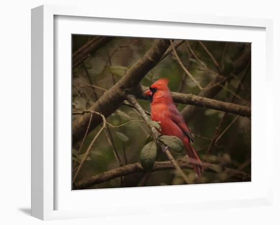 Song of the Red Bird 1-Jai Johnson-Framed Giclee Print