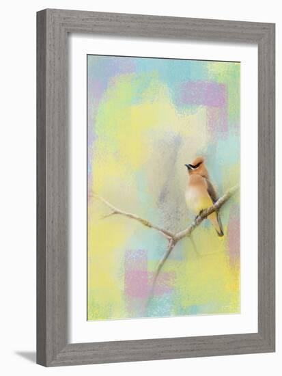 Song of the Waxwing-Jai Johnson-Framed Giclee Print