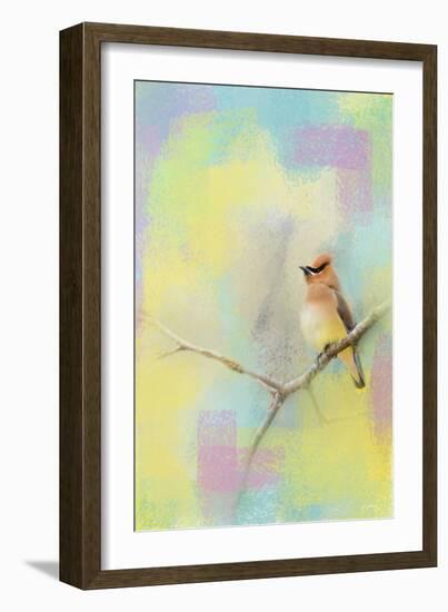 Song of the Waxwing-Jai Johnson-Framed Giclee Print