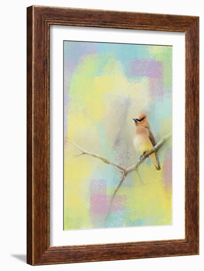 Song of the Waxwing-Jai Johnson-Framed Giclee Print