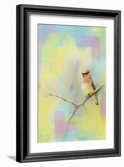 Song of the Waxwing-Jai Johnson-Framed Giclee Print