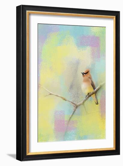 Song of the Waxwing-Jai Johnson-Framed Giclee Print