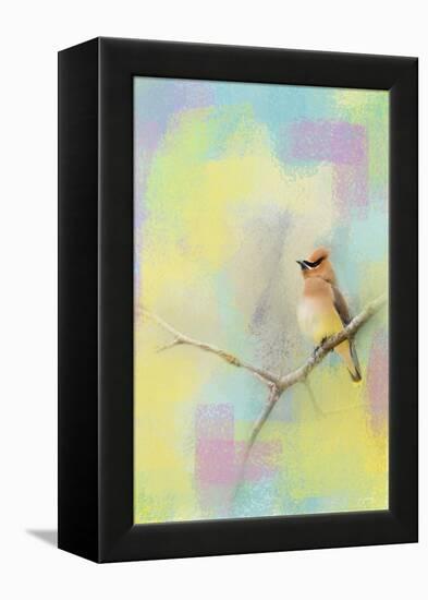 Song of the Waxwing-Jai Johnson-Framed Premier Image Canvas