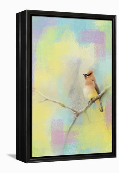 Song of the Waxwing-Jai Johnson-Framed Premier Image Canvas