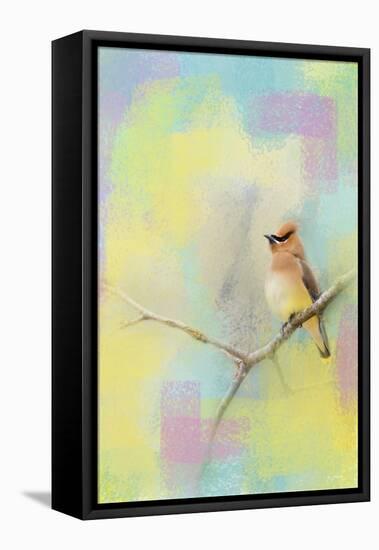 Song of the Waxwing-Jai Johnson-Framed Premier Image Canvas