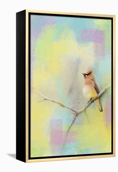 Song of the Waxwing-Jai Johnson-Framed Premier Image Canvas