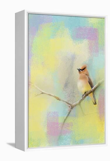 Song of the Waxwing-Jai Johnson-Framed Premier Image Canvas