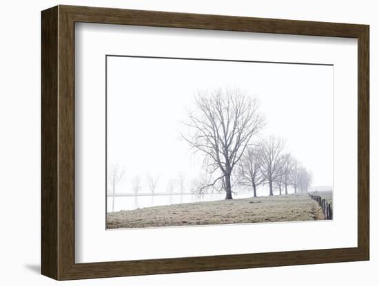 Song of the Wind-Jacob Berghoef-Framed Photographic Print