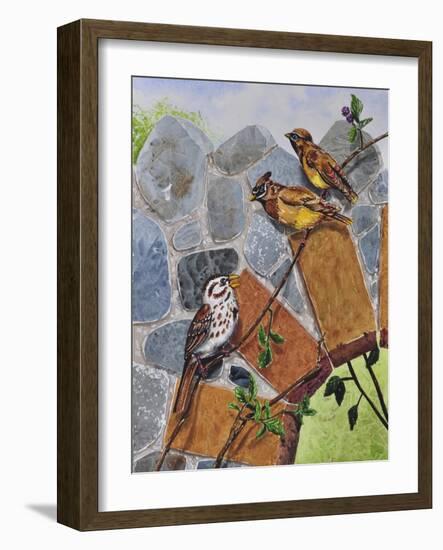 Song Sparrow and Cedar Waxwings-Charlsie Kelly-Framed Giclee Print