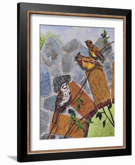 Song Sparrow and Cedar Waxwings-Charlsie Kelly-Framed Giclee Print