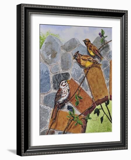 Song Sparrow and Cedar Waxwings-Charlsie Kelly-Framed Giclee Print