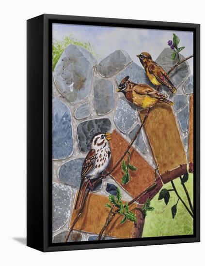 Song Sparrow and Cedar Waxwings-Charlsie Kelly-Framed Premier Image Canvas